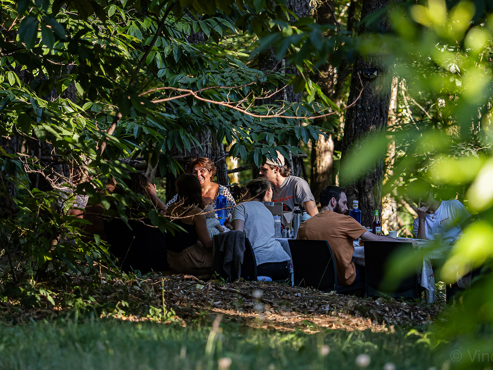 Expérience unique en yourte dans le Cantal