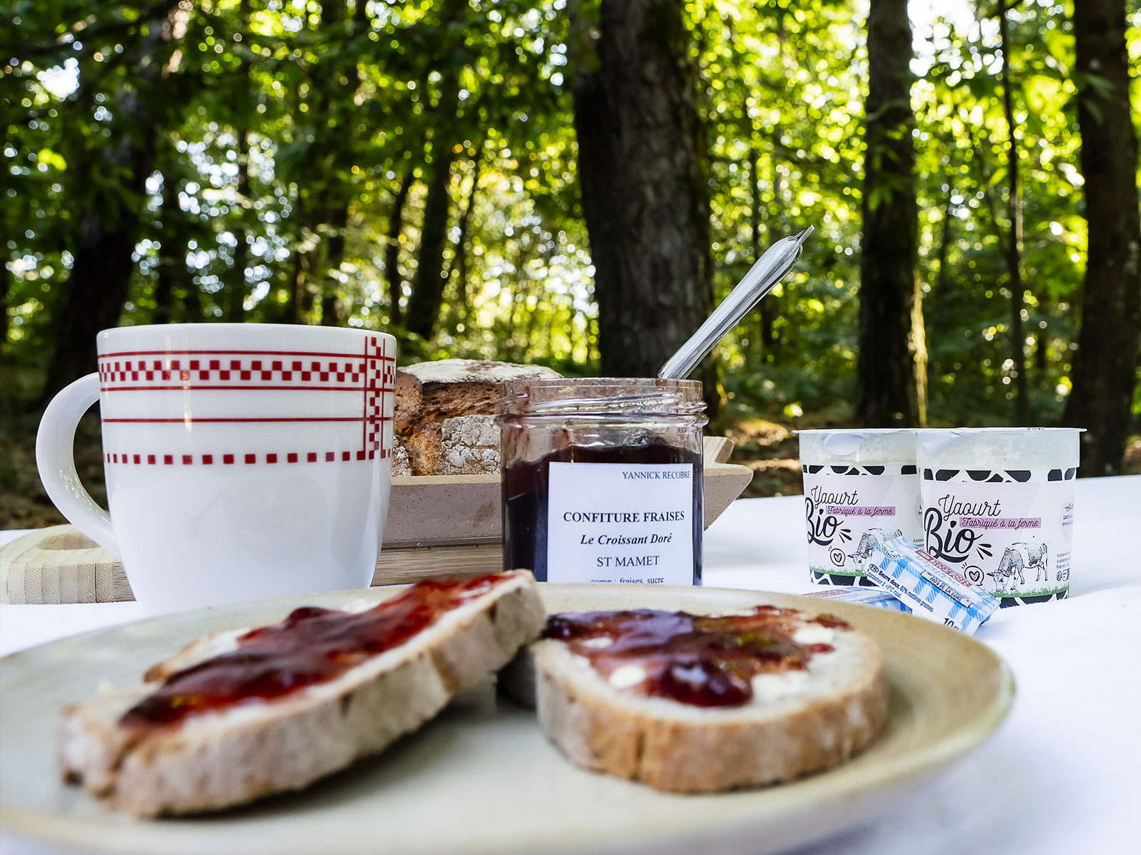 Ambiance chaleureuse dans une yourte